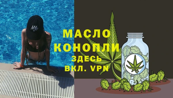 ECSTASY Бородино