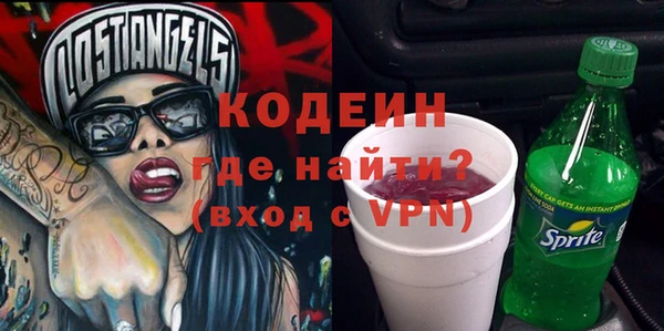 ECSTASY Бородино