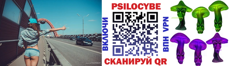 где найти   Славянск-на-Кубани  Галлюциногенные грибы Magic Shrooms 