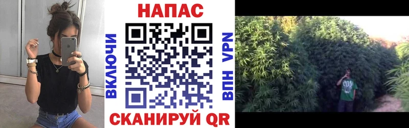 МЕГА ТОР  Славянск-на-Кубани  Каннабис марихуана  где купить наркоту 